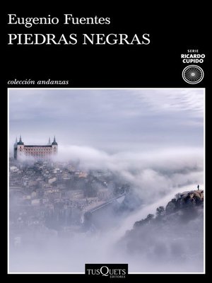 cover image of Piedras negras